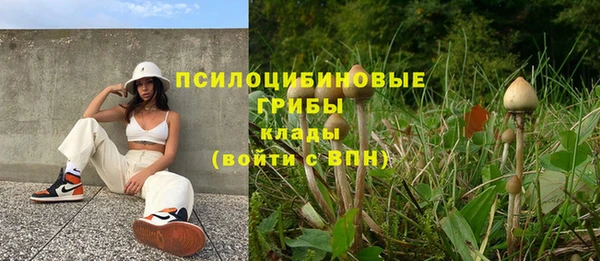 каннабис Белокуриха