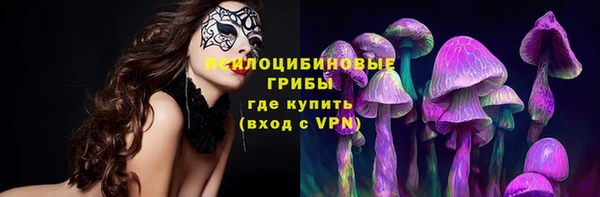герыч Сафоново
