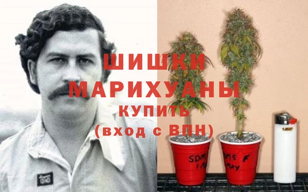 бошки Саяногорск